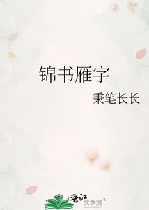 《锦书雁字》