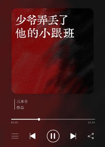 《少爷弄丢了他的小跟班》