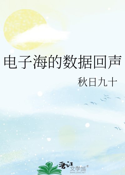 《电子海的数据回声》
