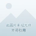 《那年那月那日》