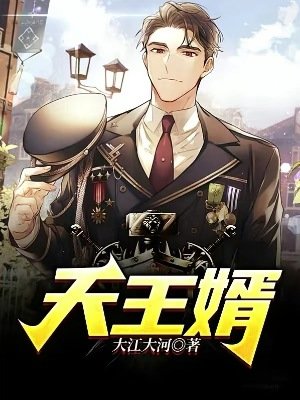 《天王婿》