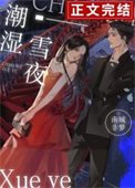 《潮湿雪夜》