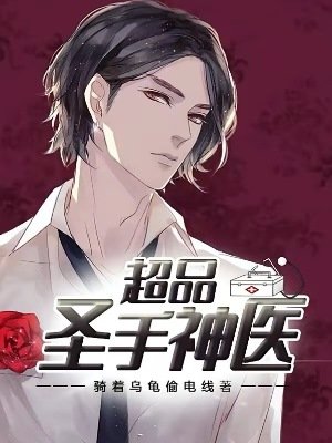 超品圣手神医