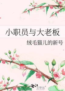 《小职员与大老板》