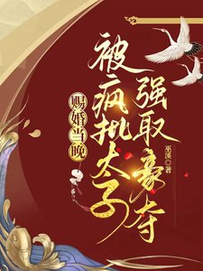 《赐婚当晚,被疯批太子强取豪夺》