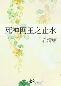死神网王之止水