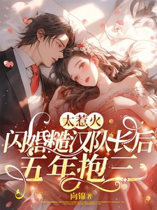 《太惹火,闪婚糙汉队长后五年抱三》
