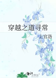 《穿越之道寻常》