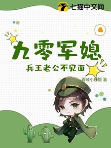 《九零军媳:兵王老公不见面》