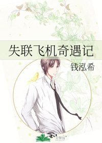 《失联飞机奇遇记》