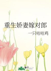 《重生娇妻嫁对郎》