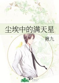 尘埃中的满天星