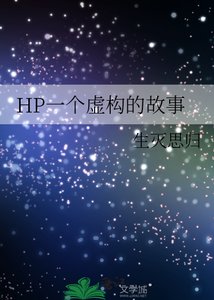 《HP一个虚构的故事》
