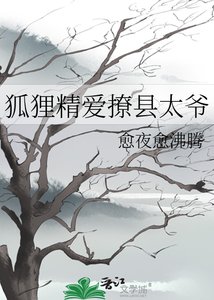 《狐狸精碍撩县太爷》