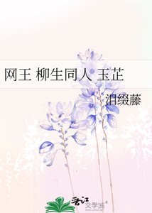 《网王 柳生同人 玉芷》