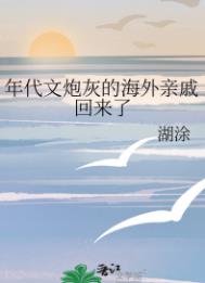 《年代文炮灰的海外亲戚回来了》