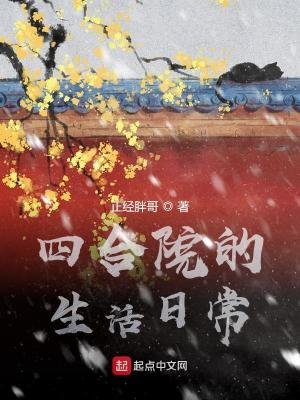 《四合院的生活日常》