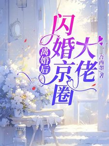《离婚后,闪婚京圈大佬》