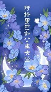 《阿格里巴和公主大盗》