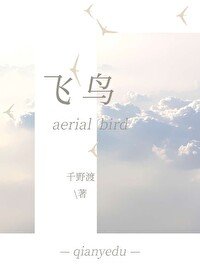 《飞鸟》
