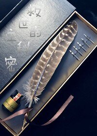 《(BL/HP同人)救世主的秘密》