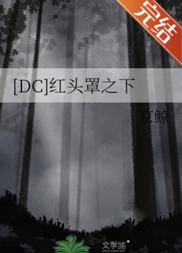 （DC同人）[DC]红头罩之下