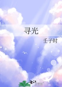 寻光