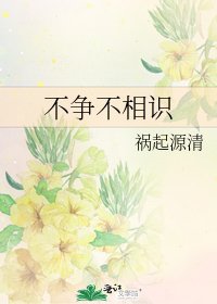 《不争不相识》