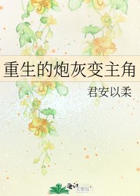 重生的炮灰变主角
