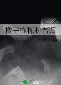 《楼宇栋栋盼君归》