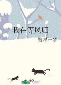 《我在等风归》