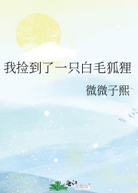 《我捡到了一只白毛狐狸》