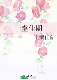 一盏佳期