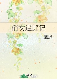 俏女追郎记