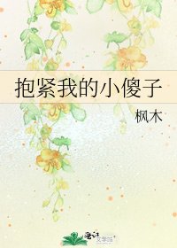 《抱紧我的小傻子》