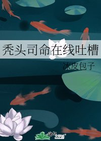 秃头司命在线吐槽