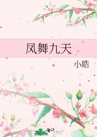《凤舞九天》