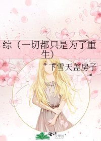 《综(一切都只是为了重生)》