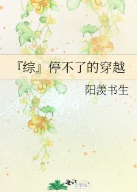 『综』停不了的穿越