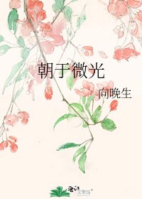 朝于微光