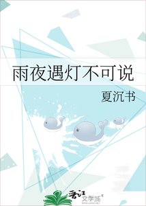 雨夜遇灯不可说