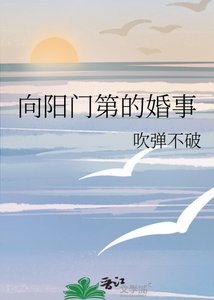 《向阳门第的婚事》