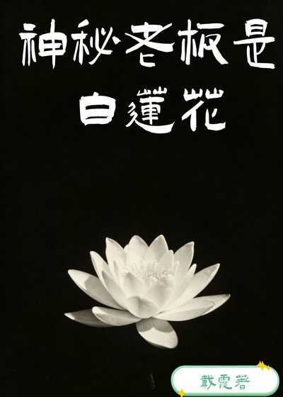 《神秘老板是白莲花》