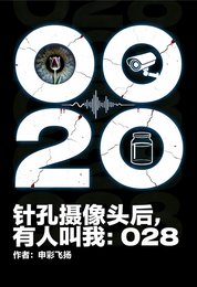 针孔摄像头后，有人叫我：028