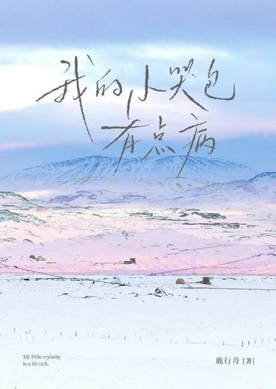 我的小哭包有点病