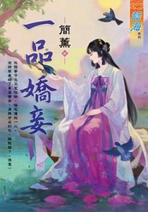 《一品娇妾(出版书)》