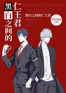（综漫同人）黑白之间的仁王君