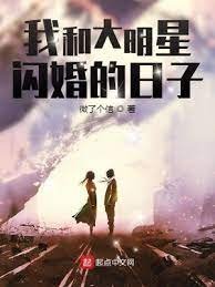 《我和大明星闪婚的日子》
