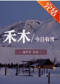 《禾木今日有雪》