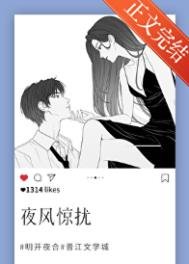《夜风惊扰》